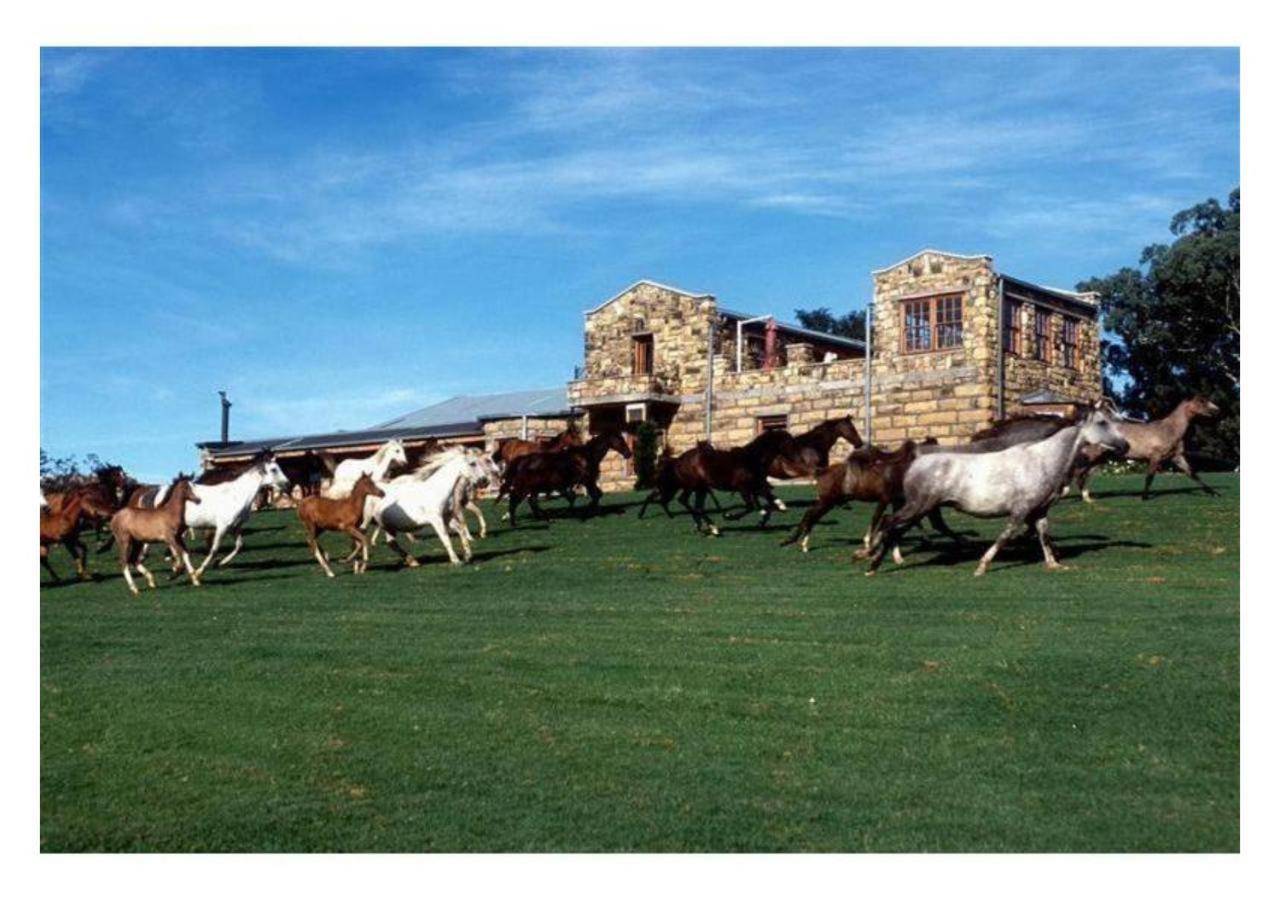 Moolmanshoek Private Game Reserve Fouriesburg Exterior foto